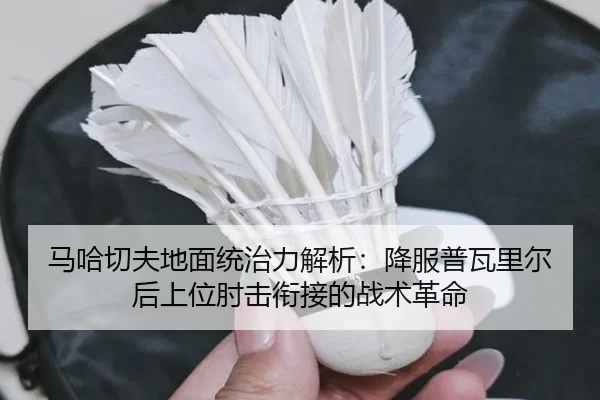 ma-ha-qie-fu-di-mian-tong-zhi-li-jie-xi-xiang-fu-pu-wa-li-er-hou-shang-wei-zhou-ji-xian-jie-de-zhan-shu-ge-ming-2-988.jpg